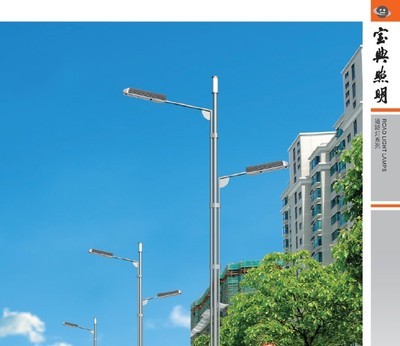 【宝典照明 厂家直销 高效环保节能 LED路灯】价格,厂家,图片,道路灯,扬州市宝典景观照明-